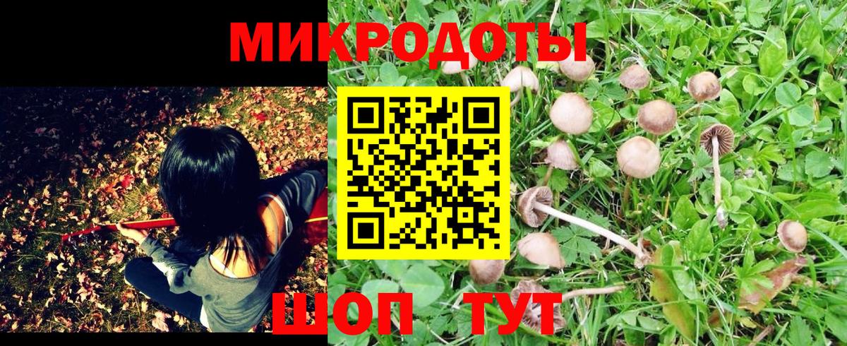 Псилоцибиновые грибы Cubensis  Вход с VPN  Ишимбай  Псилоцибиновые грибы прущие грибы 